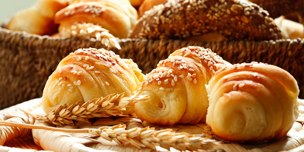 explore bakery